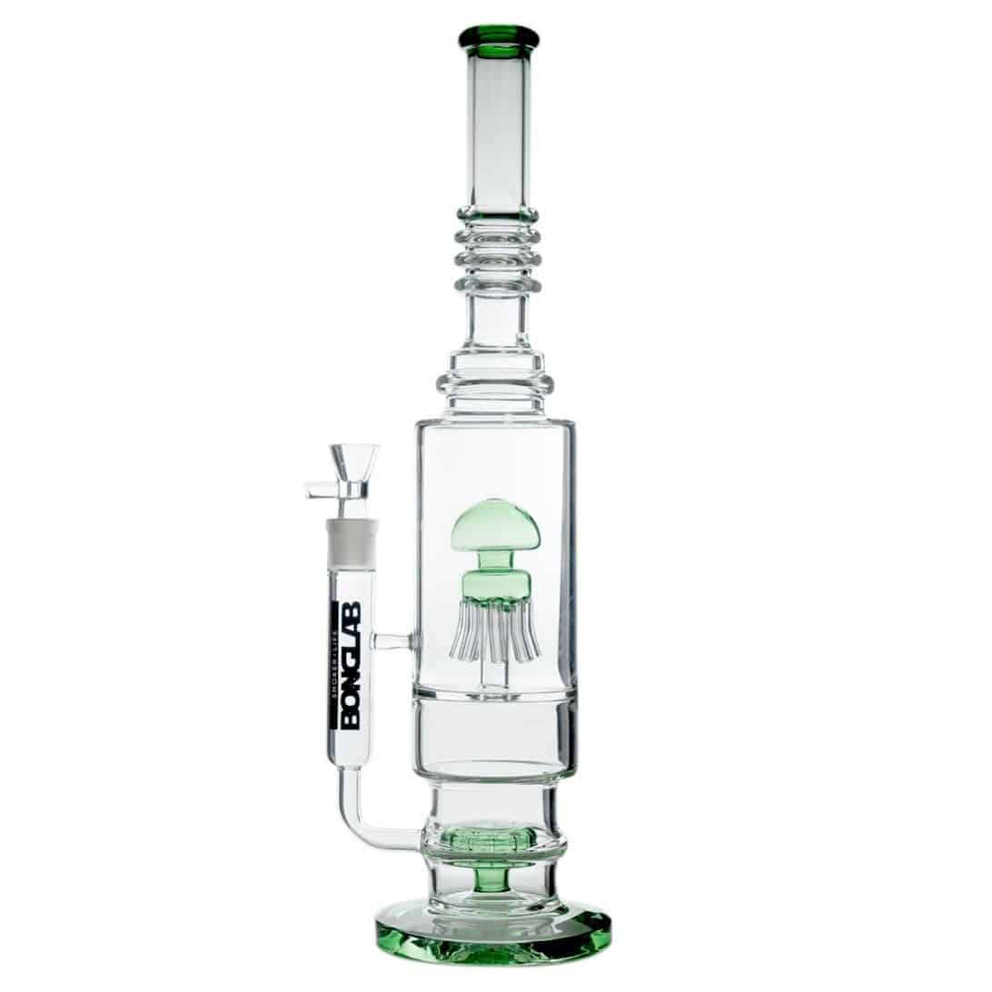 Jelly Fish Green - Bonglab