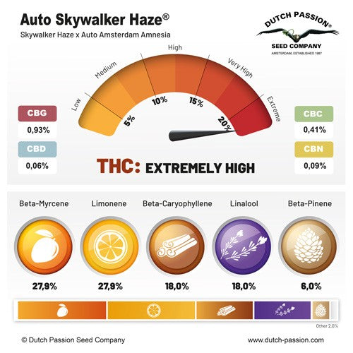 Skywalker Haze Auto X100 - Dutch Passion - vista 2