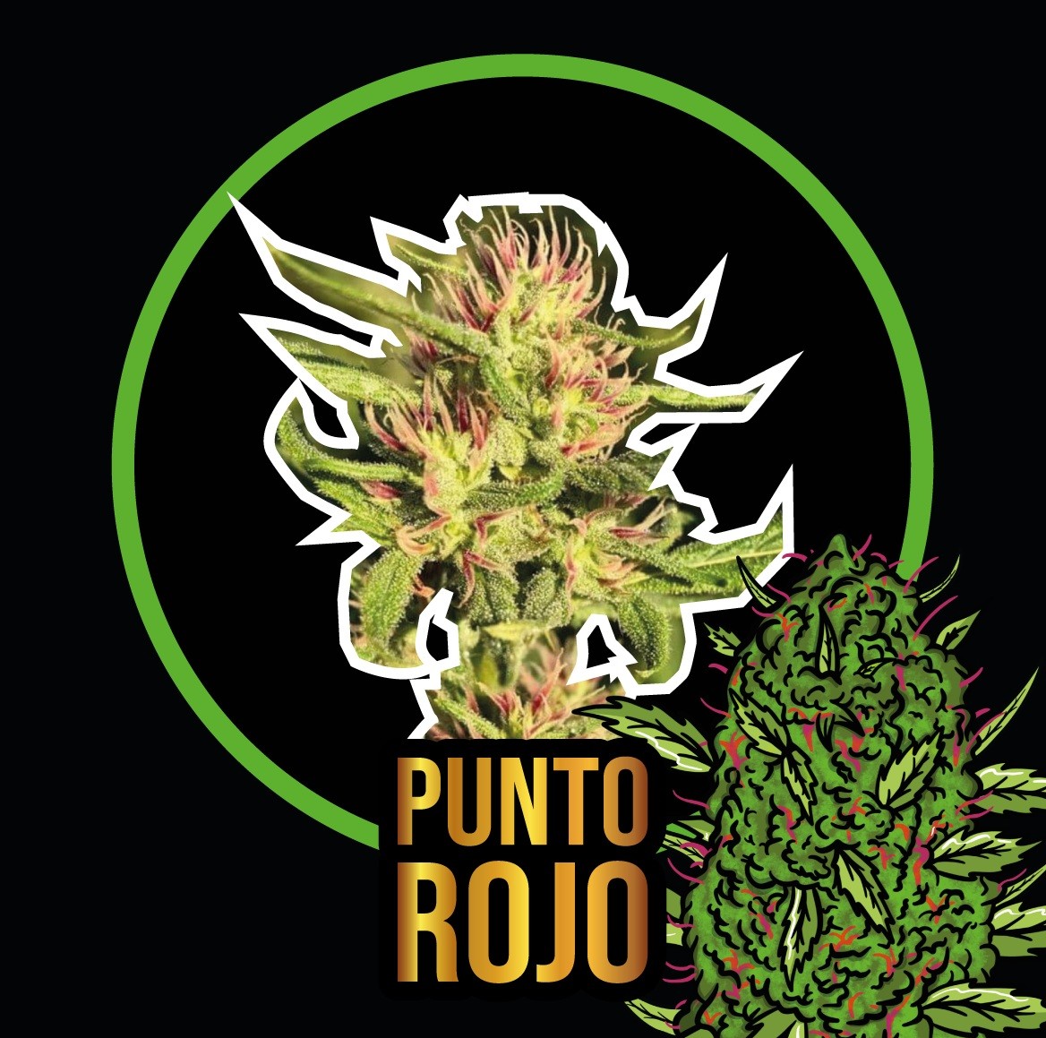 Punto Rojo Fast Version X100 - Delirium Seeds