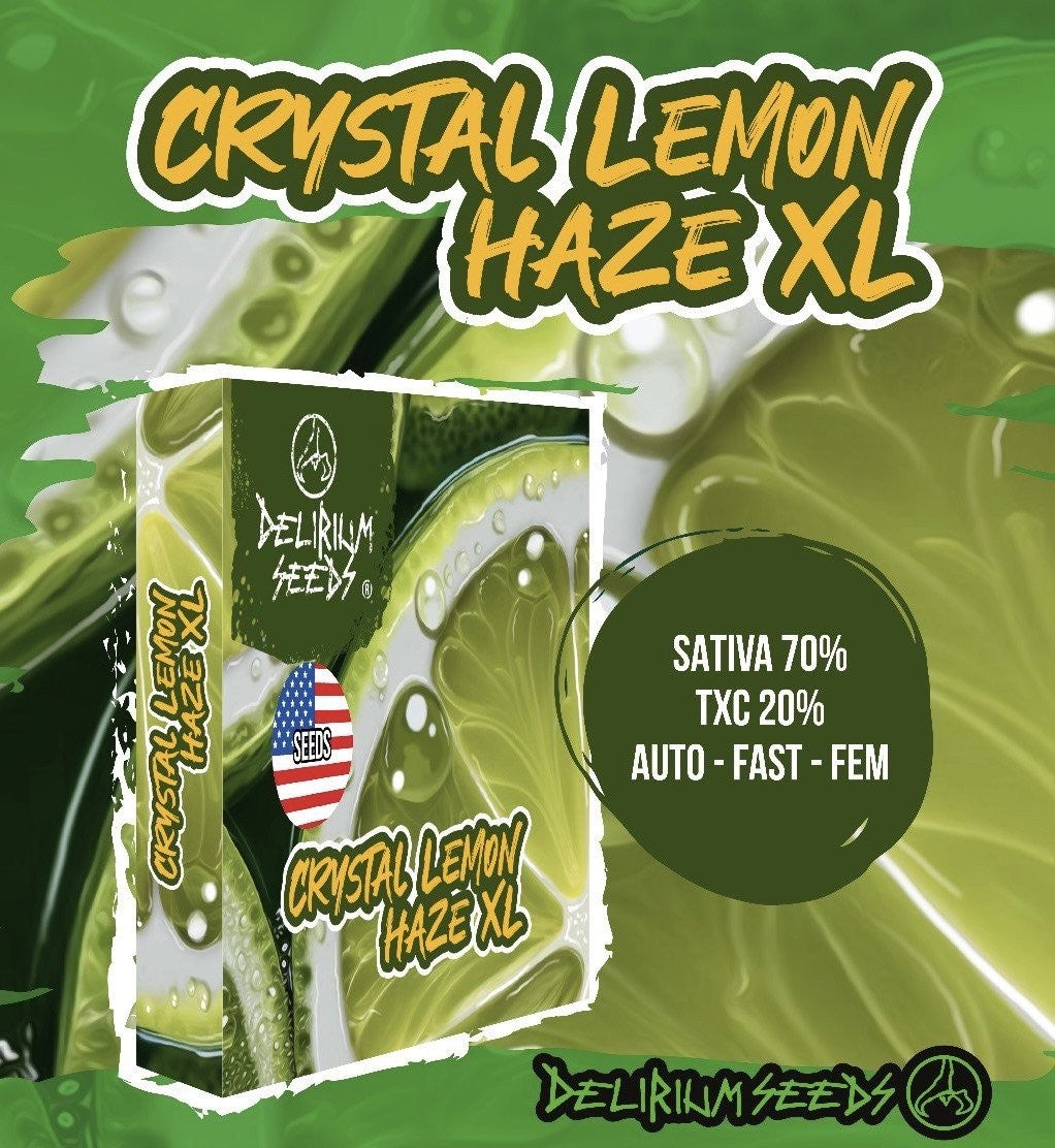 Crystal Lemon Haze Xl Auto X1 - Delirium Seeds