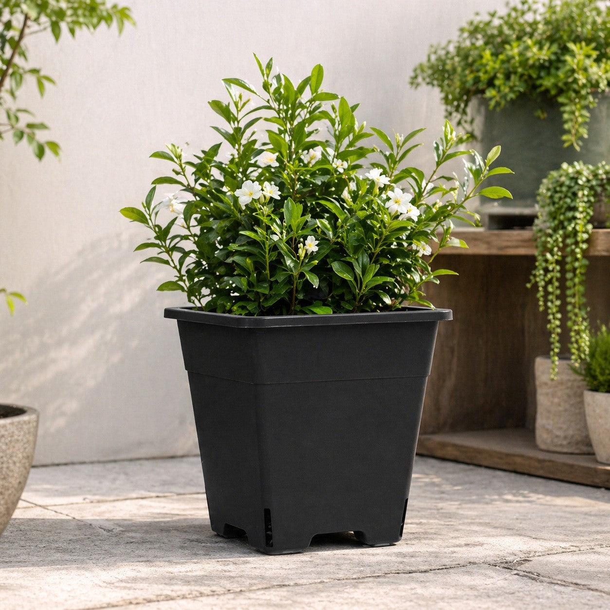 Maceta Pro Negra 4 Lt - Kasvi - vista 4