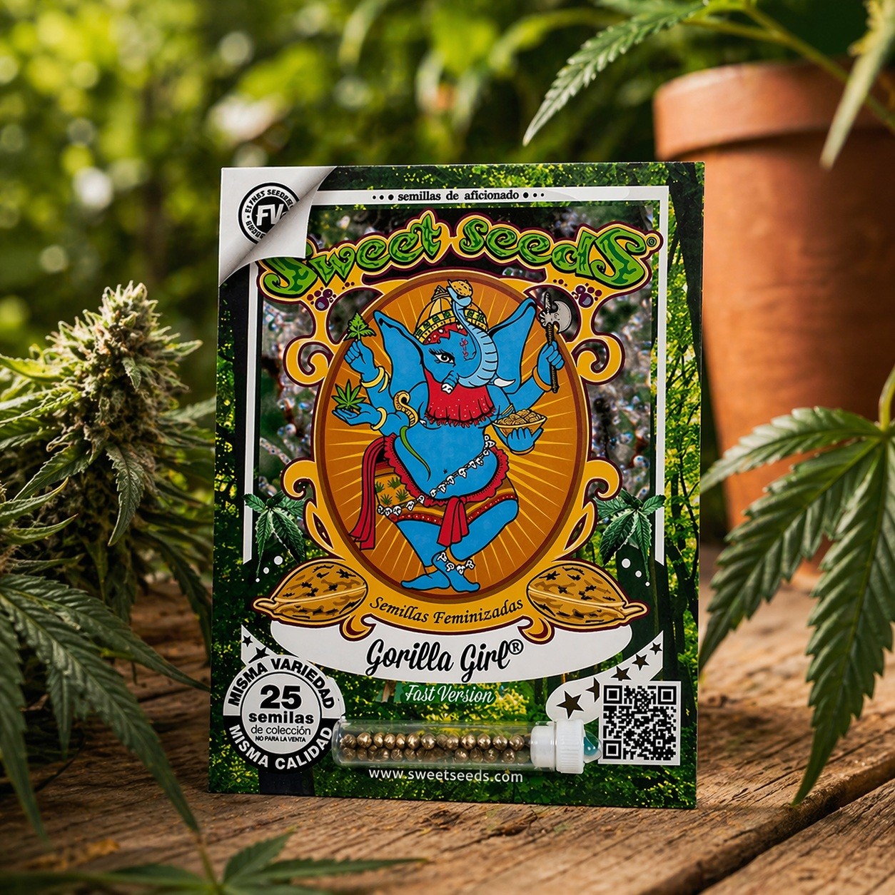 Gorilla Girl F1 Fast Version X25 - Sweet Seeds - vista 3