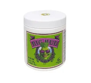 BIG BUD POWDER 130 gr - ADVANCED NUTRIENTS