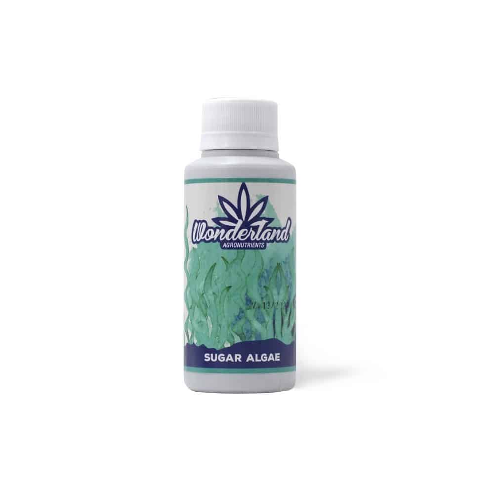 Sugar Algae 120ML - Wonderland