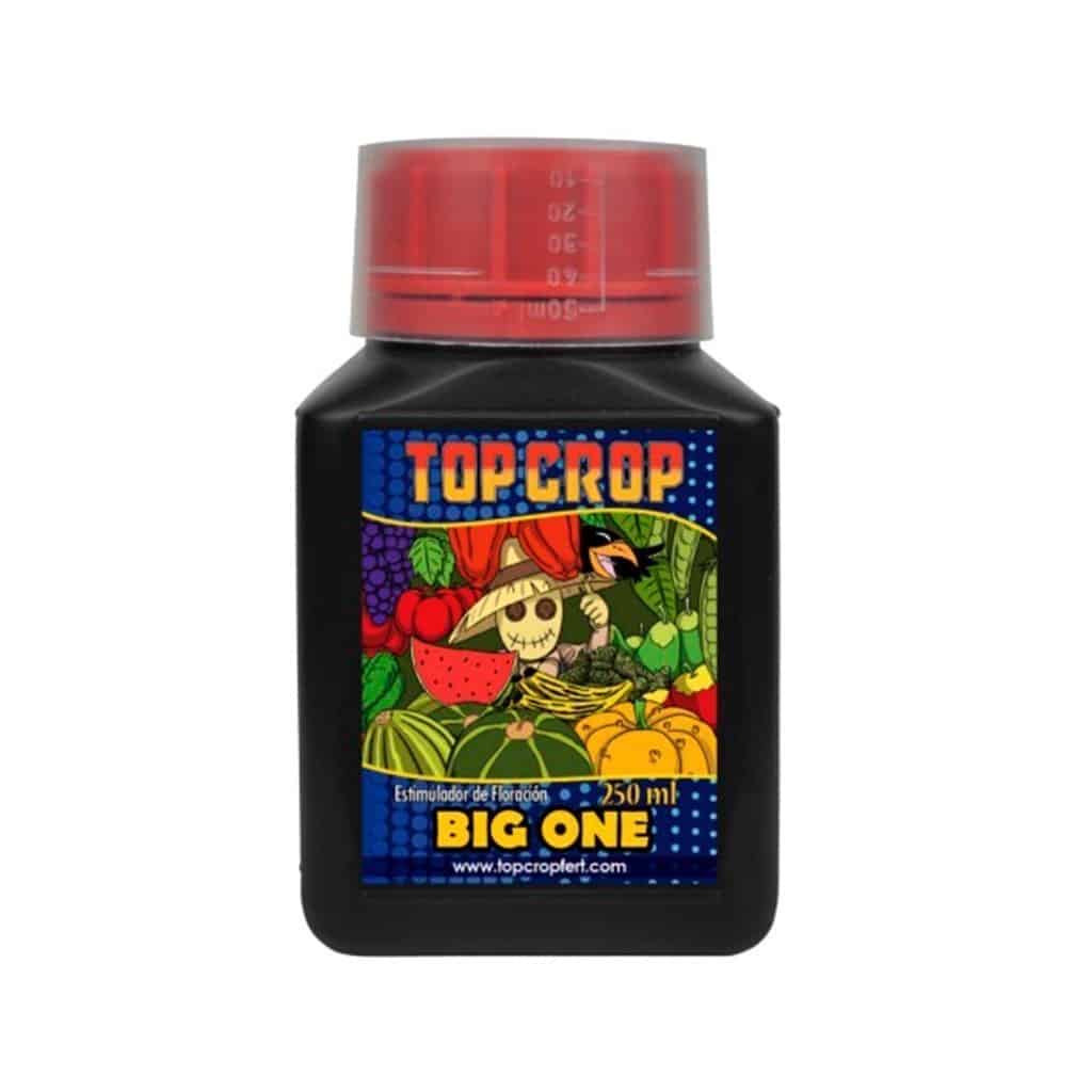 Big One 250ML - Top Crop
