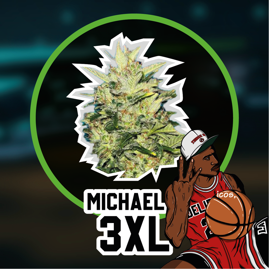Delirium Seeds - Michael D 3XL Auto X4