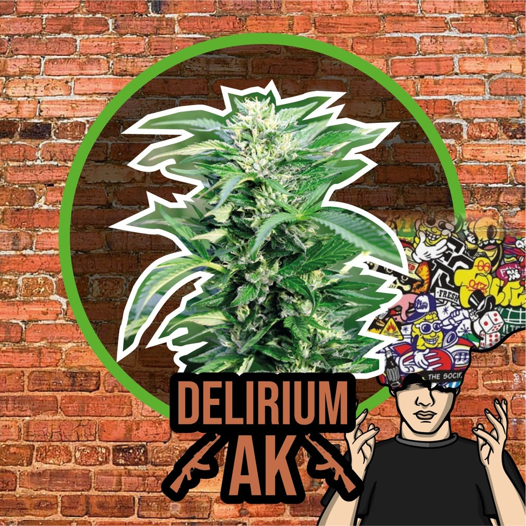 Delirium Seeds - Delirium Ak Fem X4