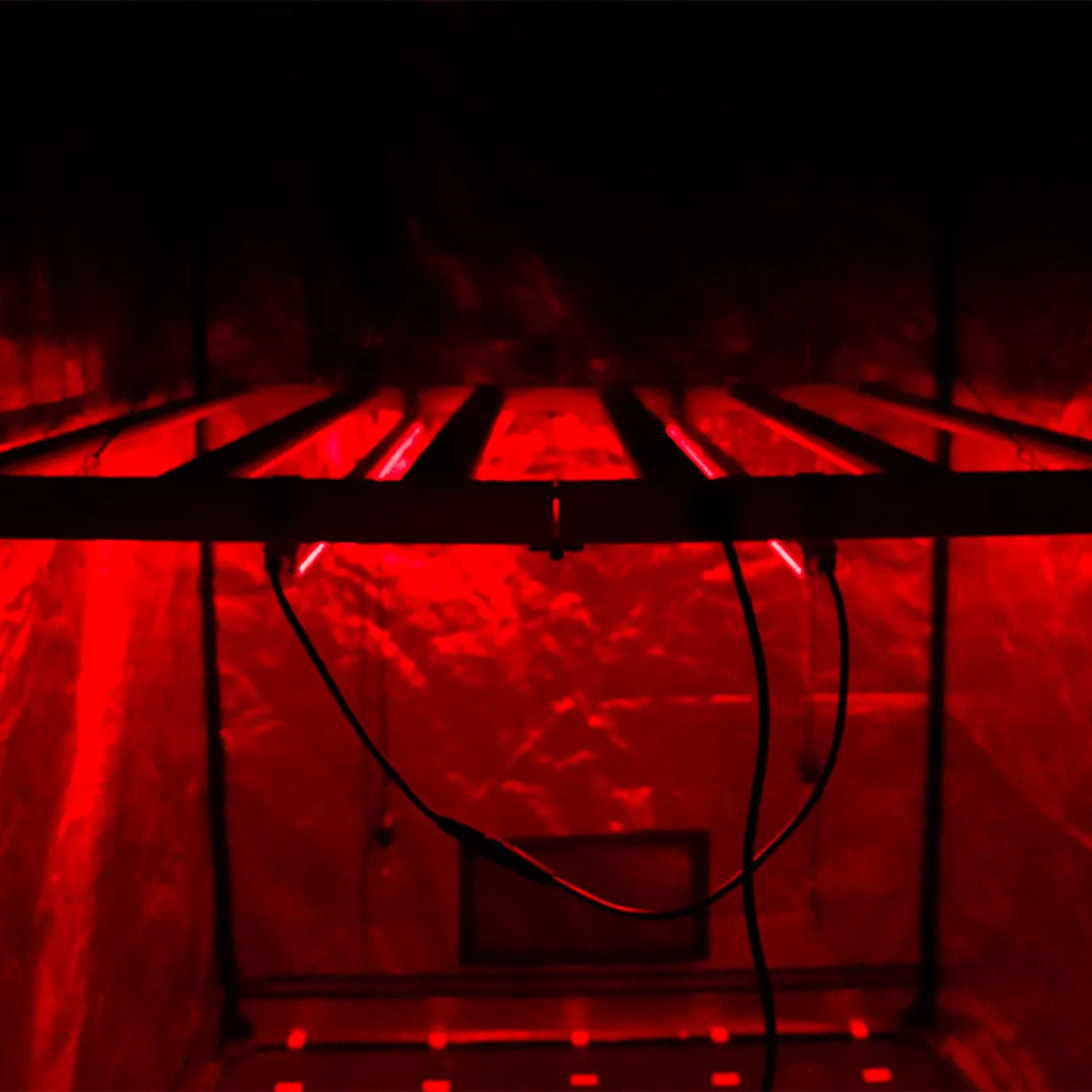 Agrolite - Nir Twins 2X22 - vista 5