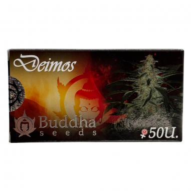 DEIMOS AUTO X50 - BUDDHA SEEDS
