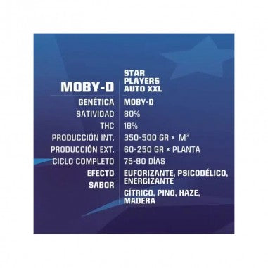 MOBY-D XXL AUTO X12 - BSF