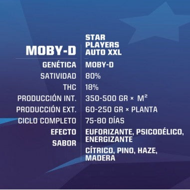 MOBY-D XXL AUTO X2 - BSF