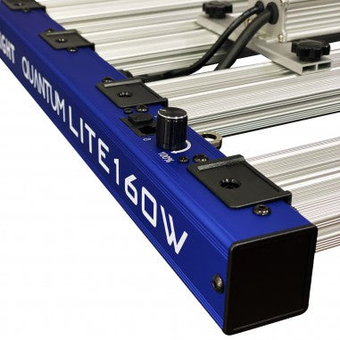 QUANTUM LITE 160W - DELIGHT