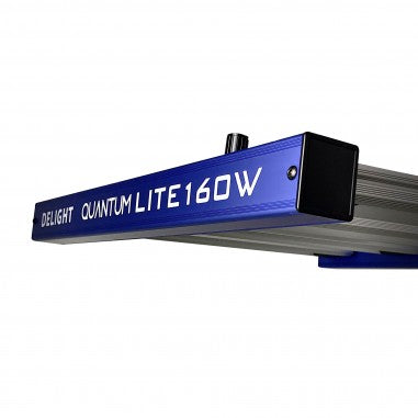 QUANTUM LITE 160W - DELIGHT