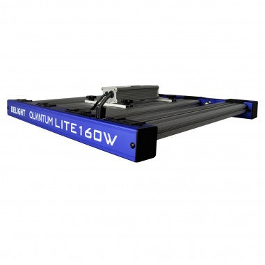 QUANTUM LITE 160W - DELIGHT