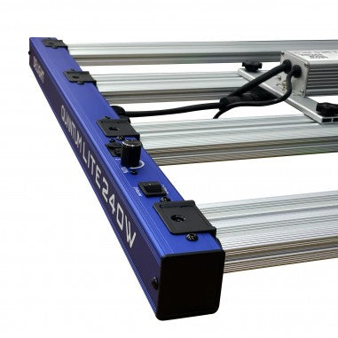 QUANTUM LITE 240W - DELIGHT