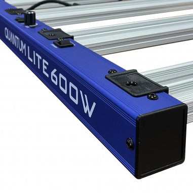QUANTUM LITE 600W - DELIGHT
