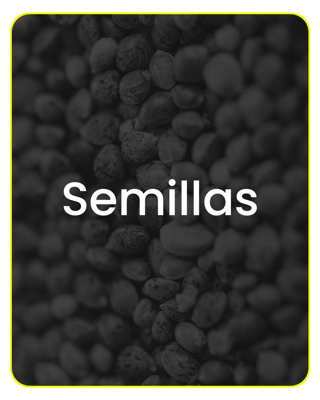 Semillas