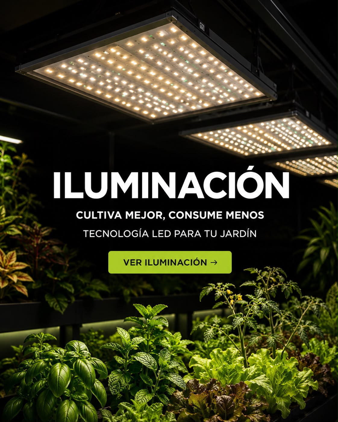 Iluminación LED para cultivo: paneles de espectro completo