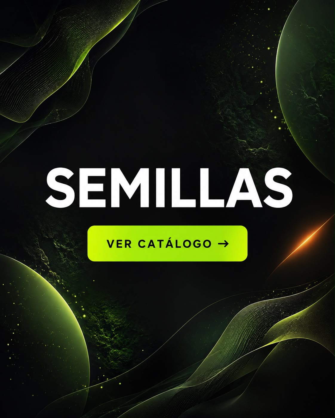 Semillas: catálogo de bancos disponibles en Degrow