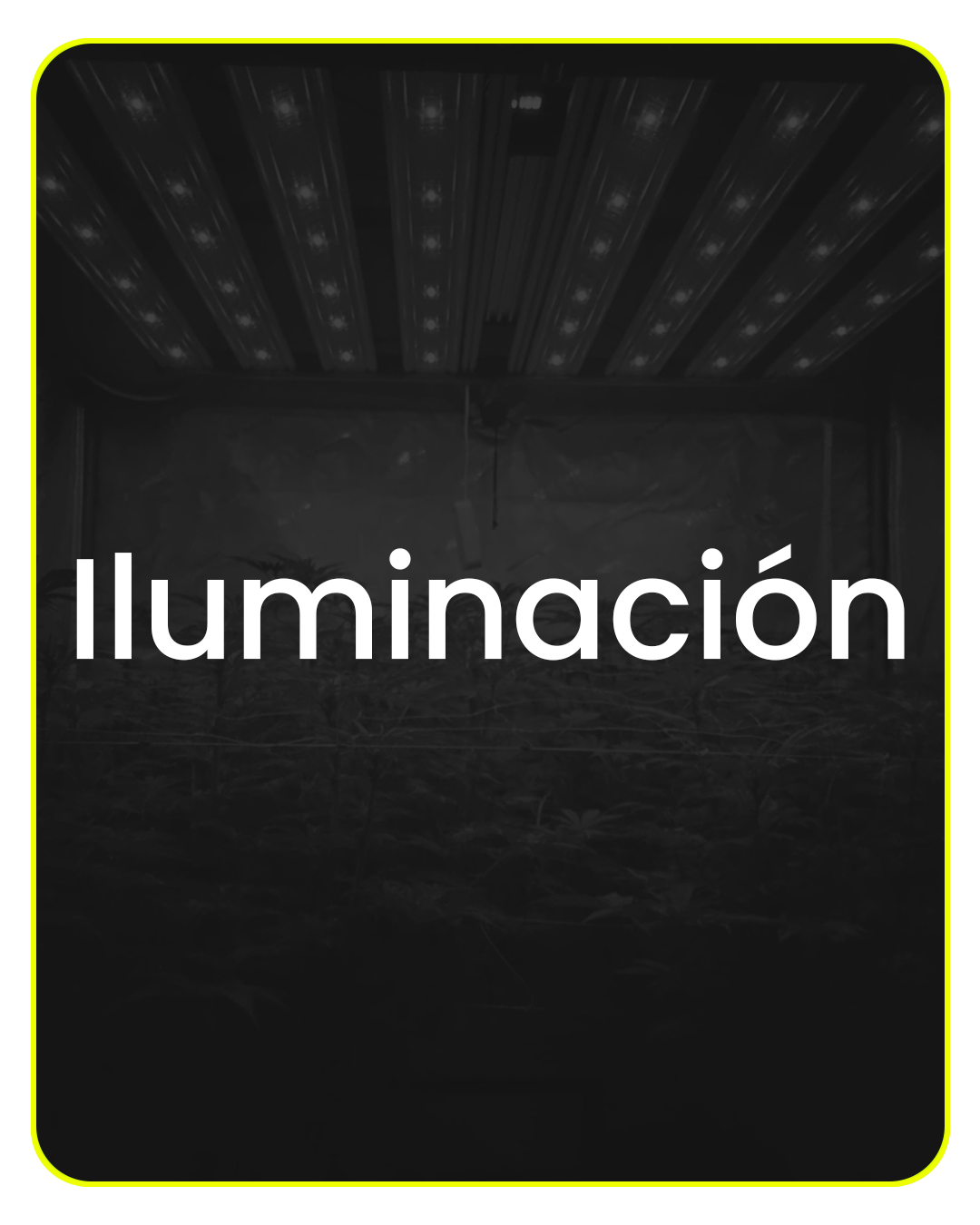 Iluminación