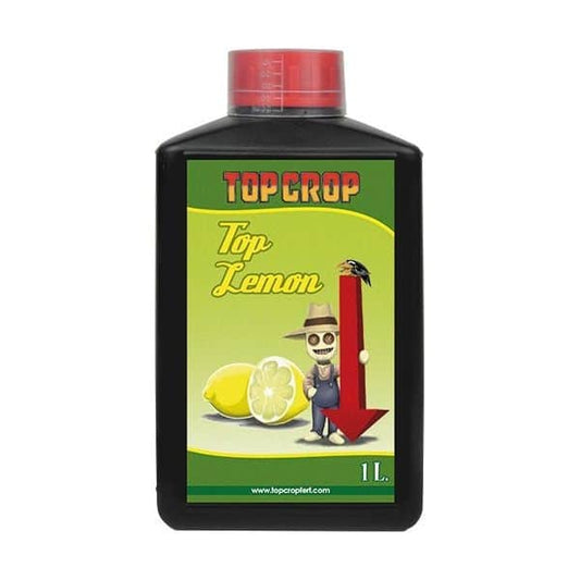 Top Lemon 1LT - Top Crop
