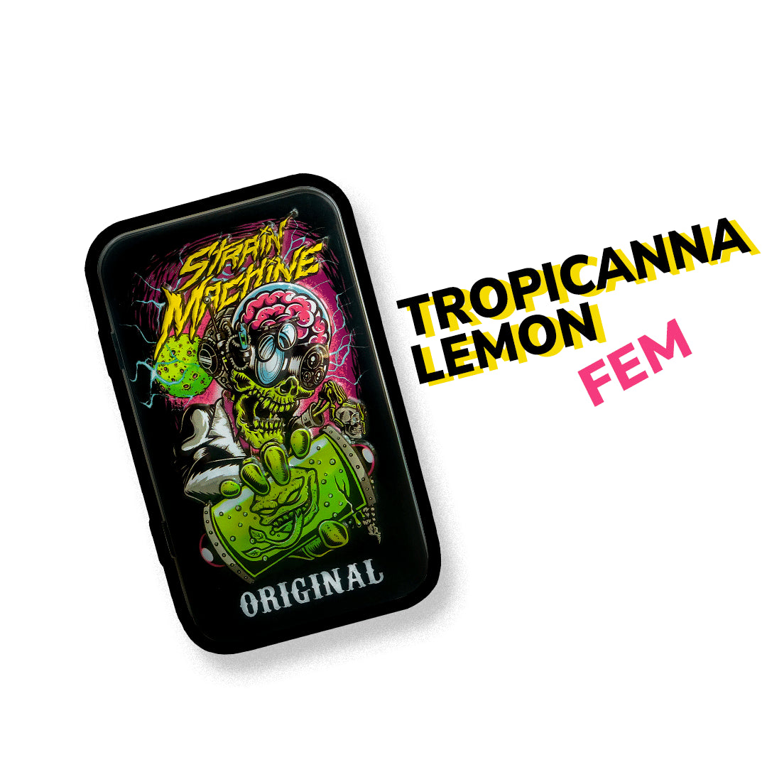 Tropicanna Lemon Fem X3 - Strain Machine