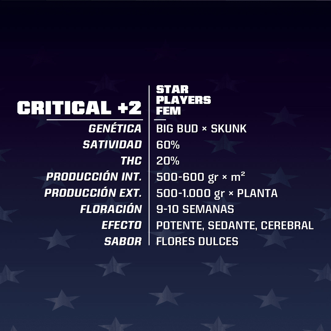 Critical +2 Fem X4 - Bsf - vista 2
