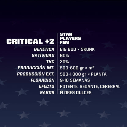 Critical +2 Fem X4 - Bsf - vista 2