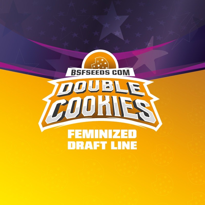 Double Cookies Sp Fem X4 - Bsf - vista 3