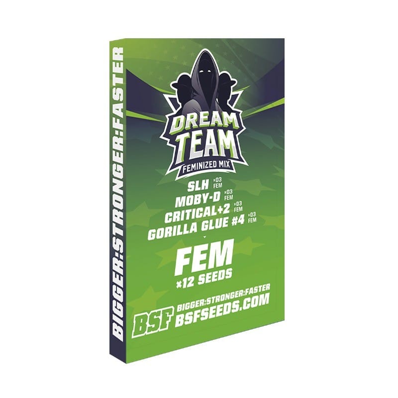 Dream Team Mix Fem X12 - Bsf - vista 2