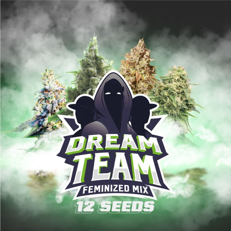 Dream Team Mix Fem X12 - Bsf