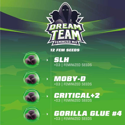 Dream Team Mix Fem X12 - Bsf - vista 3