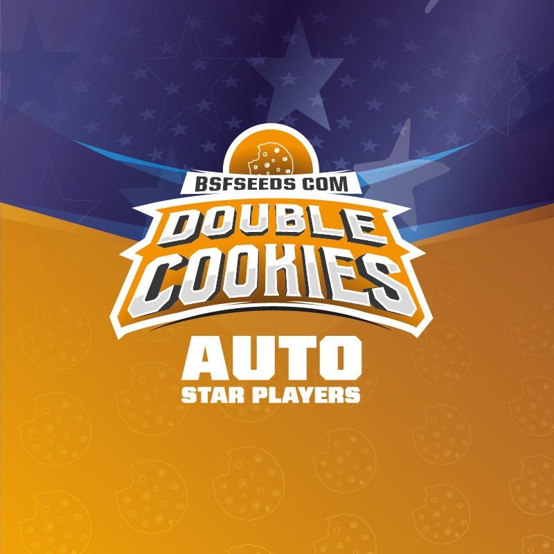 Double Cookies Sp Auto X4 - Bsf - vista 3