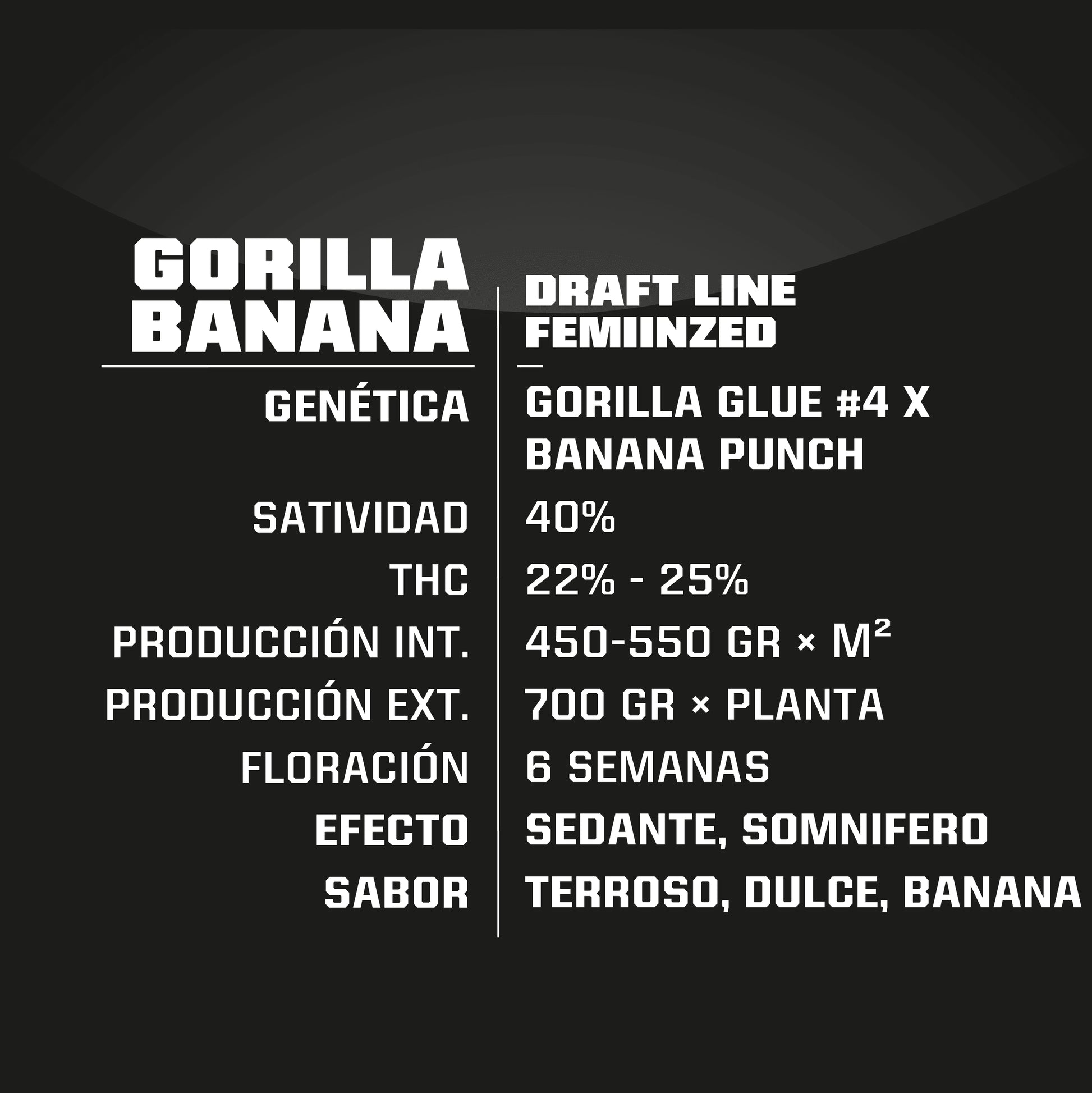 Gorilla Banana Fem X4 - Bsf - vista 2