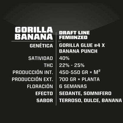 Gorilla Banana Fem X4 - Bsf - vista 2