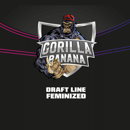 Gorilla Banana Fem X4 - Bsf - vista 3
