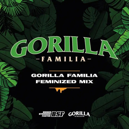 Gorilla Familia Fem X12 - Bsf