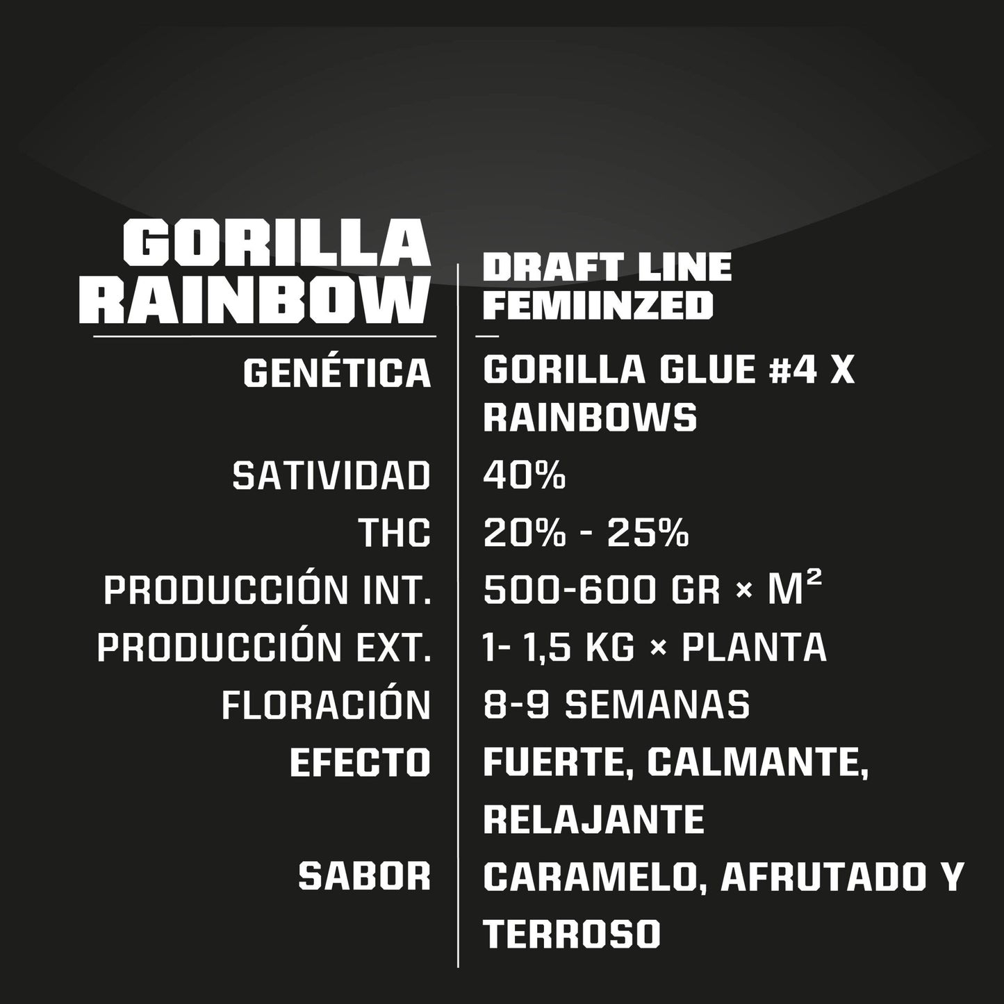 Gorilla Rainbows Fem X4 - Bsf - vista 2