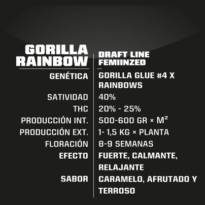 Gorilla Rainbows Fem X4 - Bsf - vista 2