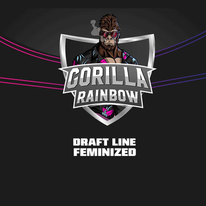Gorilla Rainbows Fem X4 - Bsf - vista 3