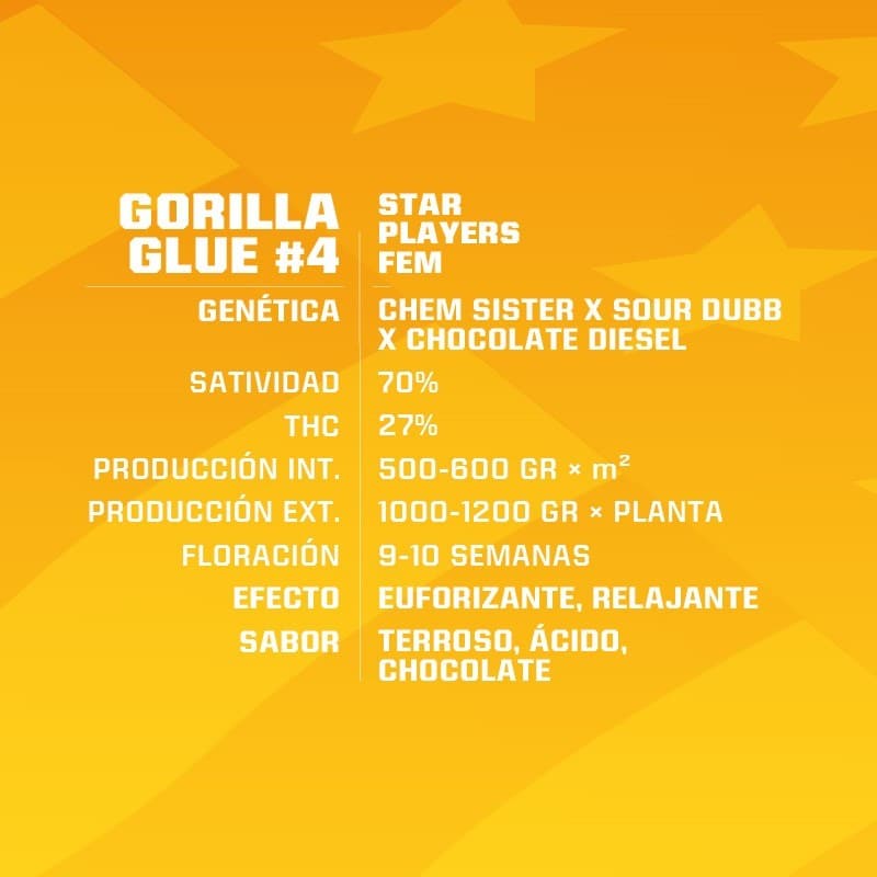 Gorilla Glue N4 Fem X2 - Bsf - vista 2