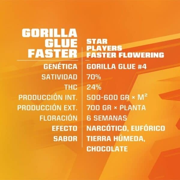 Gorilla Glue Faster Fem X4 - Bsf - vista 2