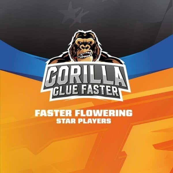 Gorilla Glue Faster Fem X4 - Bsf - vista 3