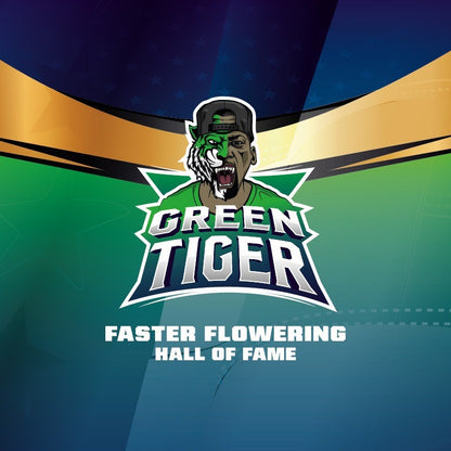 Green Tiger Fast Fem X7 - Bsf - vista 3