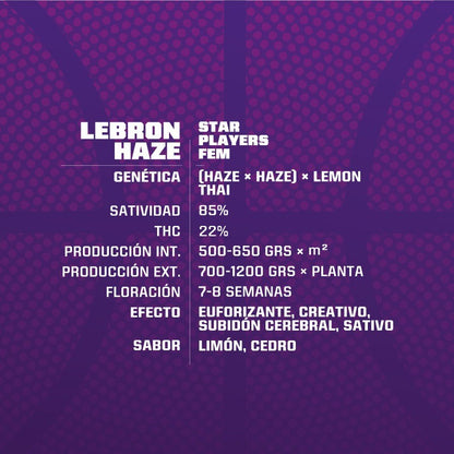 Lebron Haze Fem X4 - Bsf