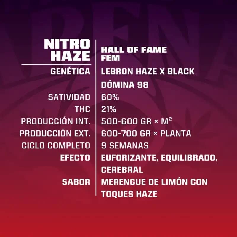 Nitro Haze Fem X7 - Bsf - vista 2