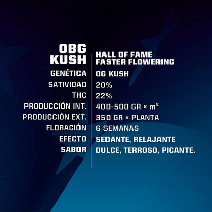 Obg Kush Fast Fem X4 - Bsf - vista 2