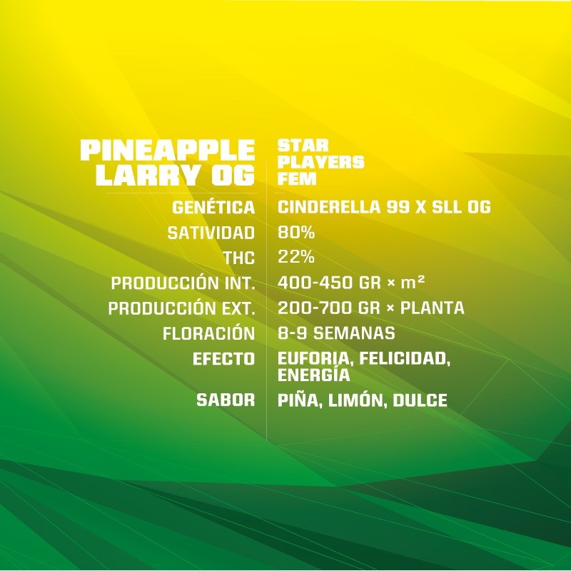 Pineaple Larry OG Fem X4 - Bsf - vista 2
