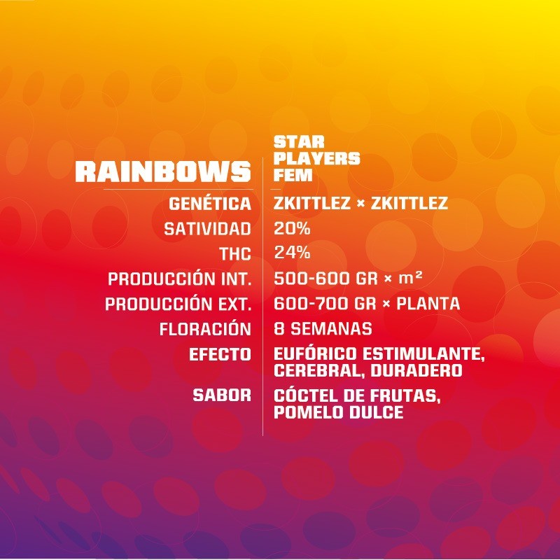 Rainbows Fem X4 - Bsf - vista 2