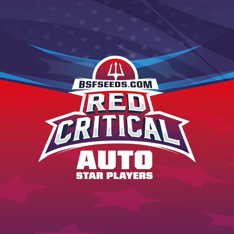 Red Critical Auto X7 - Bsf - vista 2